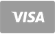 Visa card payment method accepted at Netflix Casino